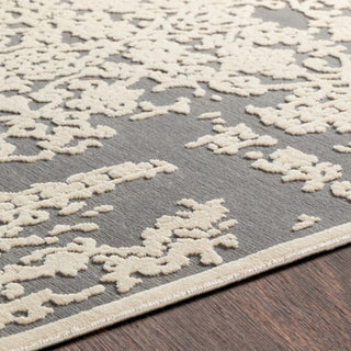 Surya Aesop ASP-2309 Area Rug Detail