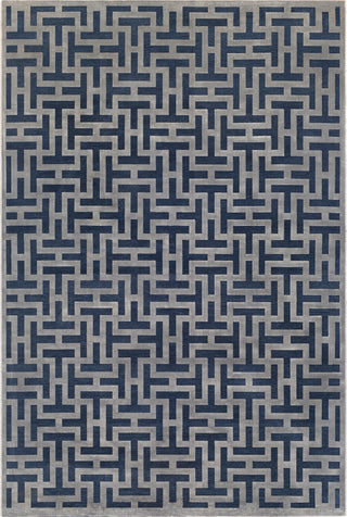 Surya Aesop ASP-2312 Dark Blue Medium Gray Area Rug Mirror main image