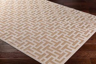 Surya Aesop ASP-2313 Area Rug Corner Shot