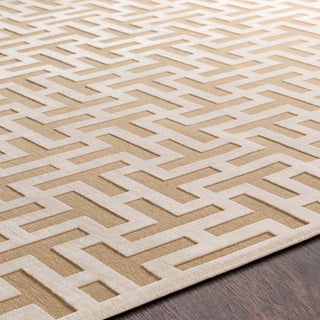 Surya Aesop ASP-2313 Area Rug Detail