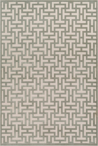 Surya Aesop ASP-2314 Sea Foam Beige Area Rug Mirror main image