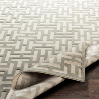 Surya Aesop ASP-2314 Area Rug 