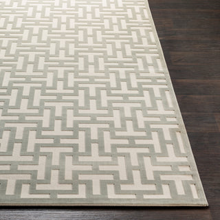 Surya Aesop ASP-2314 Area Rug 