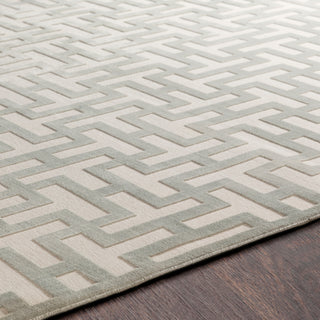 Surya Aesop ASP-2314 Area Rug Detail