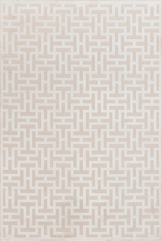 Surya Aesop ASP-2315 Beige Area Rug Mirror main image