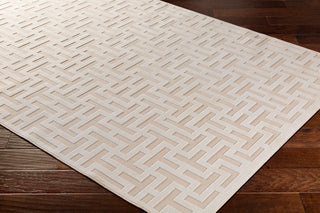 Surya Aesop ASP-2315 Area Rug Corner Shot