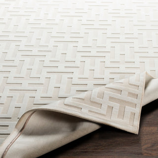 Surya Aesop ASP-2315 Area Rug 