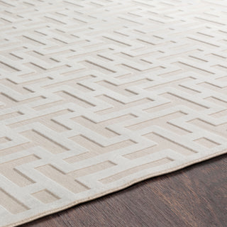 Surya Aesop ASP-2315 Area Rug Detail