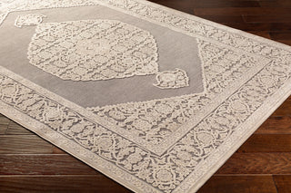 Surya Aesop ASP-2316 Area Rug Corner Shot