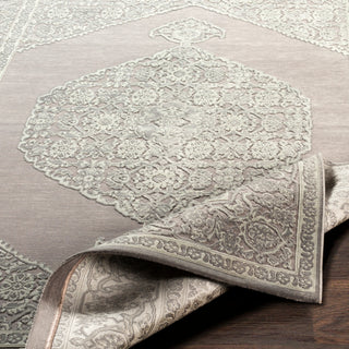 Surya Aesop ASP-2317 Area Rug 