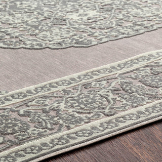 Surya Aesop ASP-2317 Area Rug Detail