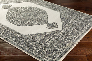 Surya Aesop ASP-2318 Area Rug Corner Shot