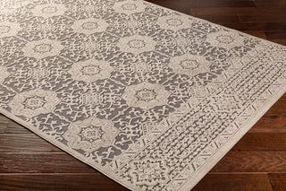 Surya Aesop ASP-2319 Area Rug Corner Shot