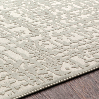 Surya Aesop ASP-2321 Area Rug Detail