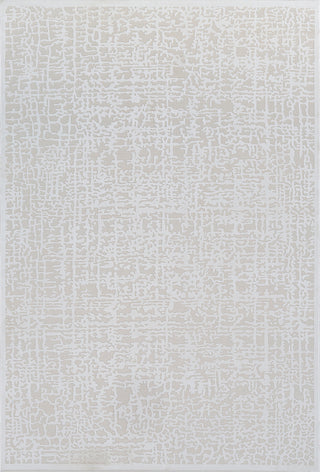 Surya Aesop ASP-2322 Beige Area Rug Mirror main image