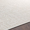 Surya Aesop ASP-2322 Area Rug Detail