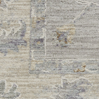 Nourison Asher ASR02 Grey Area Rug