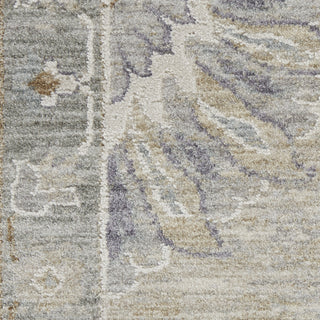 Nourison Asher ASR04 Lt Grey Area Rug