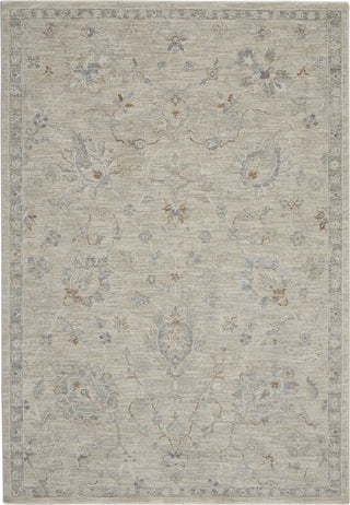 Nourison Asher ASR04 Lt Grey Area Rug