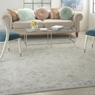 Nourison Asher ASR04 Lt Grey Area Rug