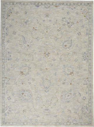 Nourison Asher ASR04 Lt Grey Area Rug