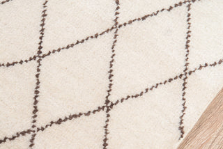 Momeni Atlas ATL-5 Ivory Area Rug Closeup