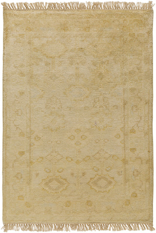 Surya Antique ATQ-1003 Beige Area Rug 2' x 3'