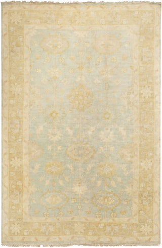 Surya Antique ATQ-1005 Slate Area Rug 5'6'' x 8'6''