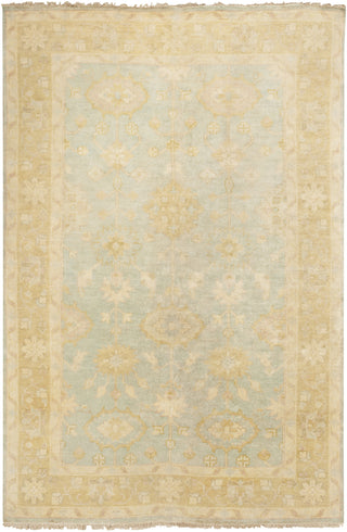 Surya Antique ATQ-1005 Area Rug