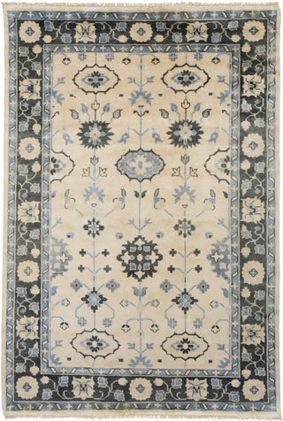 Surya Antique ATQ-1006 Area Rug