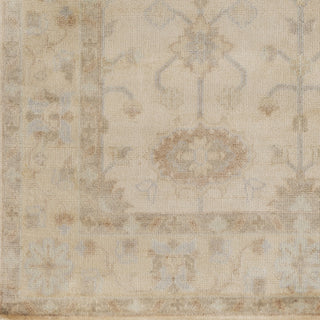 Surya Antique ATQ-1010 Beige Hand Knotted Area Rug Sample Swatch