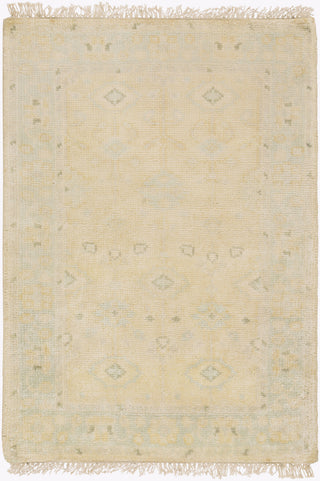 Surya Antique ATQ-1011 Beige Area Rug 2' x 3'