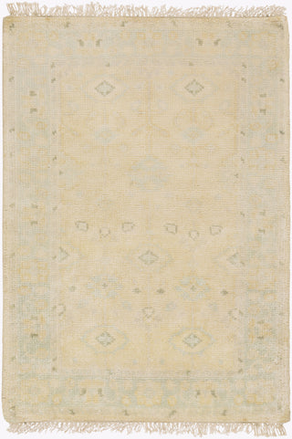 Surya Antique ATQ-1011 Area Rug