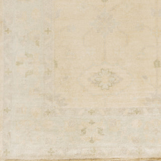 Surya Antique ATQ-1011 Beige Hand Knotted Area Rug Sample Swatch