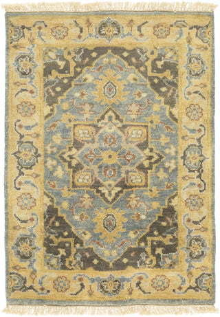 Surya Antique ATQ-1012 Teal Area Rug 2' x 3'