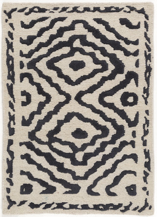 Surya Atlas ATS-1001 Charcoal Area Rug by Beth Lacefield 2' x 3'