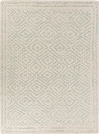 Surya Atlas ATS-1007 Sea Foam Area Rug by Beth Lacefield 8' x 11'