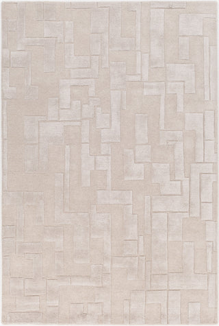 Surya Antoinette ATT-2010 Gray Area Rug main image