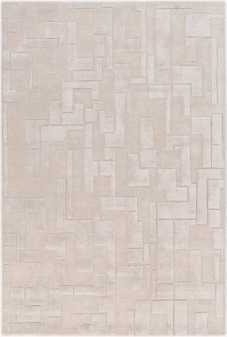 Antoinette ATT-2010 Gray Area Rug by Surya 5' X 7'6''