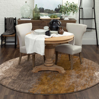 Karastan Enigma Aura Desert Area Rug Lifestyle Image