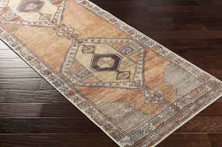 Livabliss Antiquity AUY-2303 Area Rug