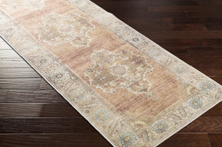 Livabliss Antiquity AUY-2304 Area Rug