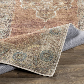 Livabliss Antiquity AUY-2304 Area Rug