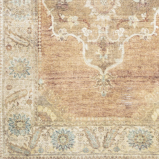 Livabliss Antiquity AUY-2304 Area Rug