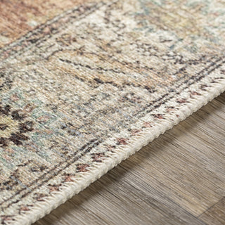 Livabliss Antiquity AUY-2304 Area Rug