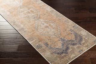 Livabliss Antiquity AUY-2305 Area Rug