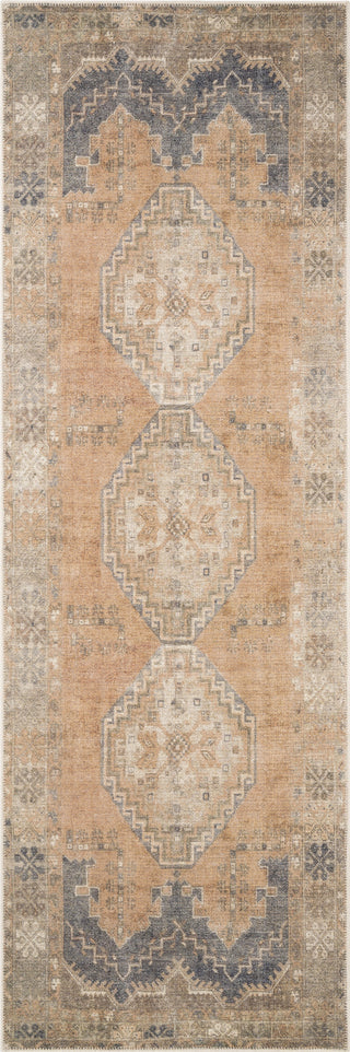 Livabliss Antiquity AUY-2305 Area Rug