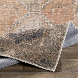 Livabliss Antiquity AUY-2305 Area Rug