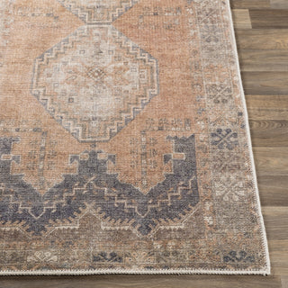 Livabliss Antiquity AUY-2305 Area Rug