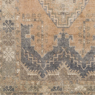 Livabliss Antiquity AUY-2305 Area Rug